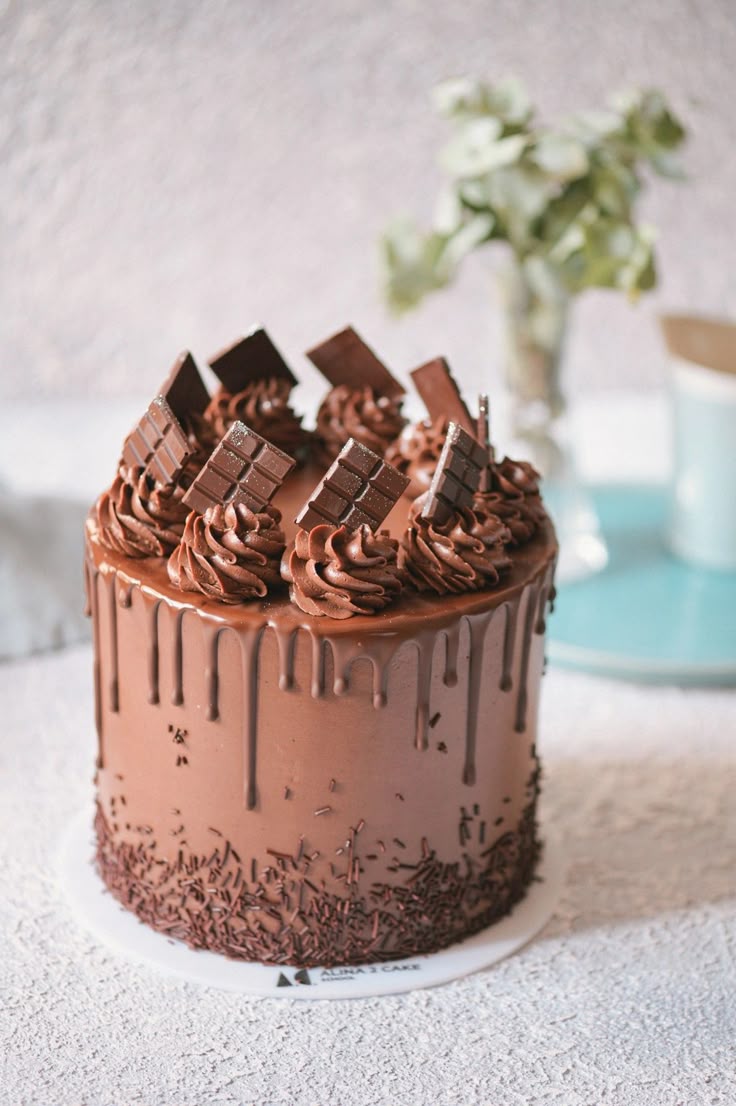 Choco Truffle Cake